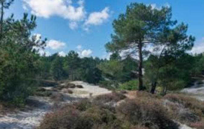 Huisje Finn, Met Grote Tuin En Veel Privacy Dirkshorn Bagian luar foto
