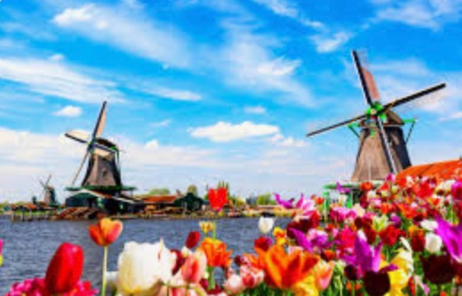 Huisje Finn, Met Grote Tuin En Veel Privacy Dirkshorn Bagian luar foto